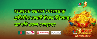 ফ্রি স্পিন ধামাকা promotion